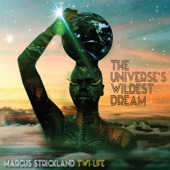 Marcus Strickland Twi-Life - You and I, An Anomaly