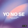 Yo No Se - Single