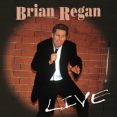 Brian Regan - Horns & Windshields