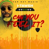 Can You Feel It artwork
