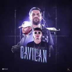 El Gavilán - Single by Luis R Conriquez, Tony Aguirre & Peso Pluma album reviews, ratings, credits