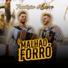 O Malhão E O Forró - Single, 2024