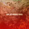 Heal My Wounds - Single album lyrics, reviews, download