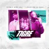 Stream & download Tigre - Single