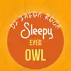 Sleepy Eyed Owl - Single album lyrics, reviews, download