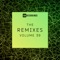 Come & See (Matheiu Remix) - Podime lyrics