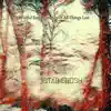 Wistful Remembrance of All Things Lost - Single album lyrics, reviews, download