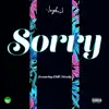 Sorry (feat. Chill Moody) - Single album lyrics, reviews, download