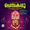 Chettikulangara Kovilil Amarunna song lyrics