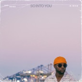 So Into You (feat. D-Nice) [Stripped Down Mix] artwork