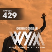 Wake Your Mind Radio 429 artwork