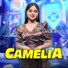 Camelia - Single