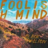 Foolish Mind