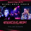 Yerushalayim - Single (Live Version) - Single album lyrics, reviews, download