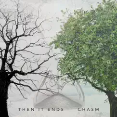 Chasm (feat. Michael Felker) Song Lyrics