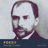 George Coșbuc, Ziarul unui pierde vară (1902) - EP