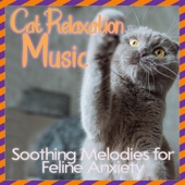 Cat Relaxation Music: Soothing Melodies for Feline Anxiety artwork