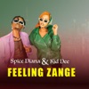 Feeling Zange - Single