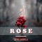 Rose - Reyna Anabella lyrics