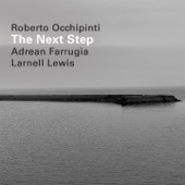 Roberto Occhipinti - Opus Pocus