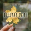 Cudowny Kwiat - Single