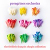 Peregrines Orchestra - Cello Sonata in G Minor, Op. 65 - III. Largo