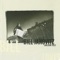 My Funny Valentine - Bill Janovitz lyrics
