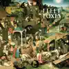 Fleet Foxes album lyrics, reviews, download