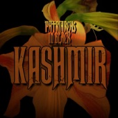 Kashmir artwork