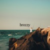 Breezy - Single, 2022