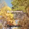 Silver Springs song lyrics