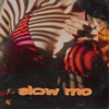 SLOW MO - Single