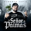 El Señor de las Palmas - Single