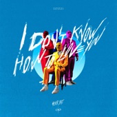 I Don't Know How To Love You artwork