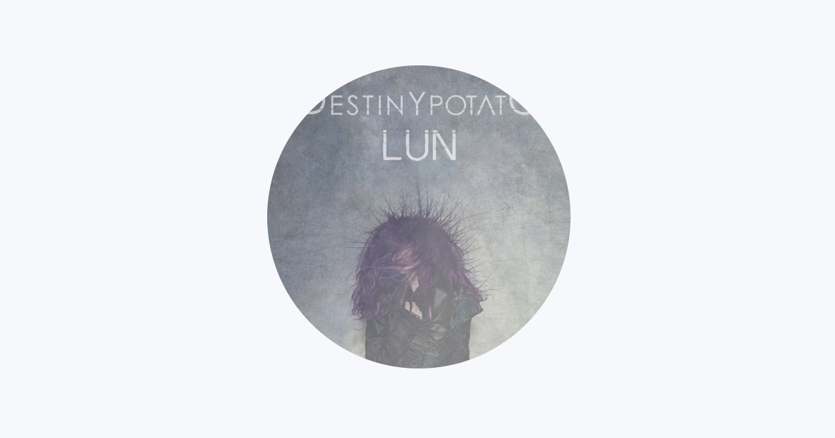 貴重国内盤 Destiny Potato Lun