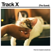Track X (The Guest) by Black Country, New Road
