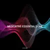 Meditative Essentials One album lyrics, reviews, download