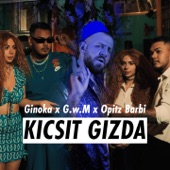 Kicsit gizda (feat. G.W.M. & Opitz Barbi) artwork