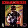 Schwarzenegger - Single album lyrics, reviews, download