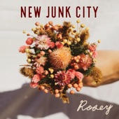 New Junk City - Rosey