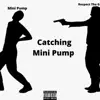 Catching Mini Pump - Single album lyrics, reviews, download