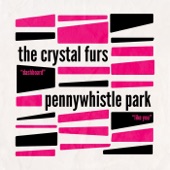 Pennywhistle Park - Dashboard