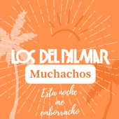 Muchachos Esta Noche Me Emborracho - EP artwork