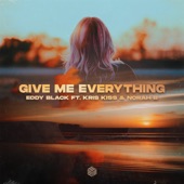 Give Me Everything artwork
