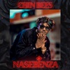 Nasebenza - Single