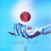 Raise It Up - Single