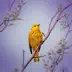 Relaxing Bird Singing Sound For Calmness and Relaxation song reviews