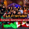 POPURRI HUAPANGO NAVIDEÑO - Single