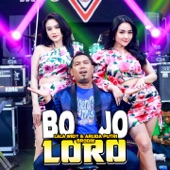 Bojo Loro artwork