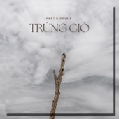 Trúng Gió (feat. Coldie) artwork